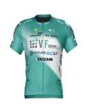 VF GROUP-BARDIANI CSF- FAIZANE’