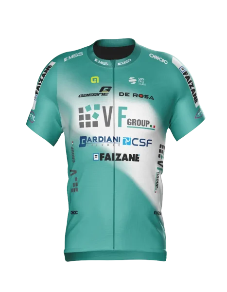 VF GROUP-BARDIANI CSF- FAIZANE’